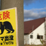 Faced with attacks Japan will relax its legislation on bear