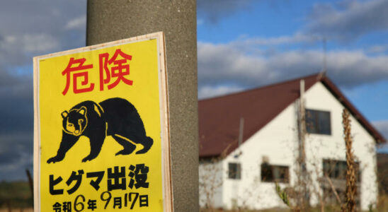 Faced with attacks Japan will relax its legislation on bear