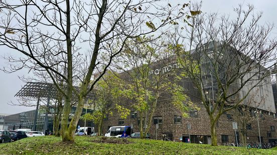 Felled trees for the St Antonius Hospital car park end