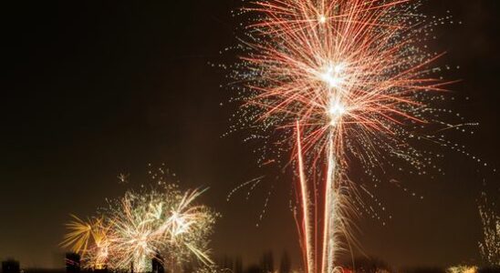 Fireworks seller is happy with the ban Never had so