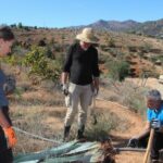 From olive tree to rosemary volunteers from Zeist together make