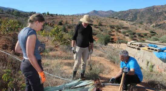 From olive tree to rosemary volunteers from Zeist together make