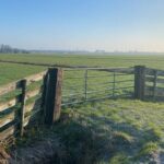 From pasture to residential area how does the Rijnenburg polder