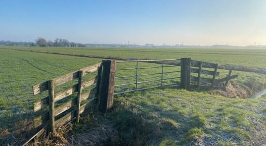 From pasture to residential area how does the Rijnenburg polder