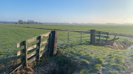 From pasture to residential area how does the Rijnenburg polder