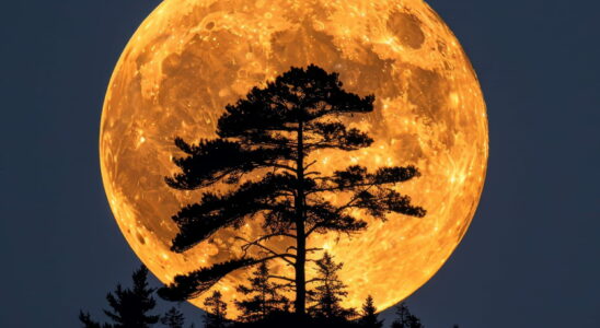 Full moon of December 15 what effects on your astrological