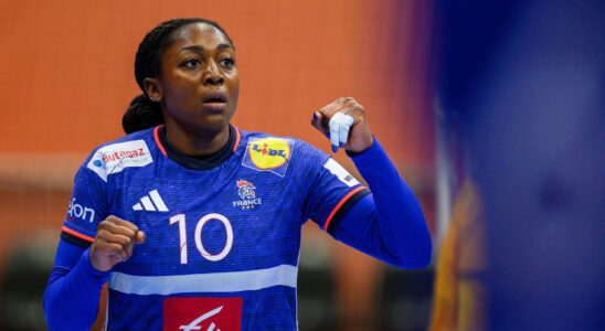 HANDBALL France Denmark a big shock for a place