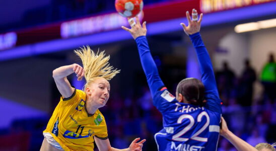 HANDBALL Sweden France Les Bleues in demonstration follow the