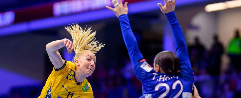 HANDBALL Sweden France Les Bleues in demonstration follow the