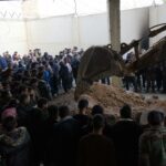 Horrifying images in the hospital in Damascus 40 corpses stacked