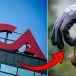 ICA stops popular product after alarm about rats