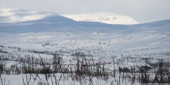 Ice warning on Boxing Day