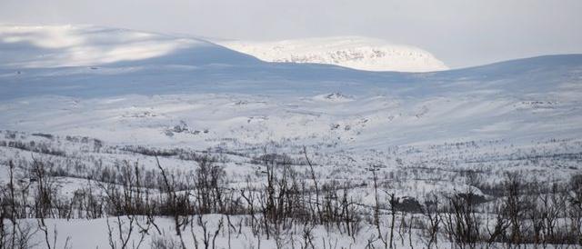 Ice warning on Boxing Day