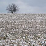 In Europe negative temperatures on the verge of disappearing The