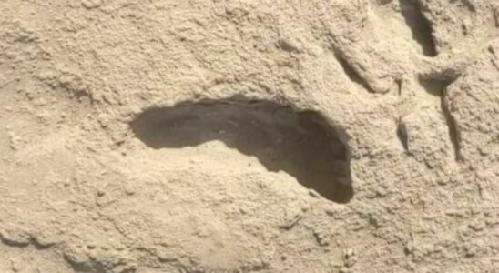 It was revealed in 2021 The mystery of footprints 15