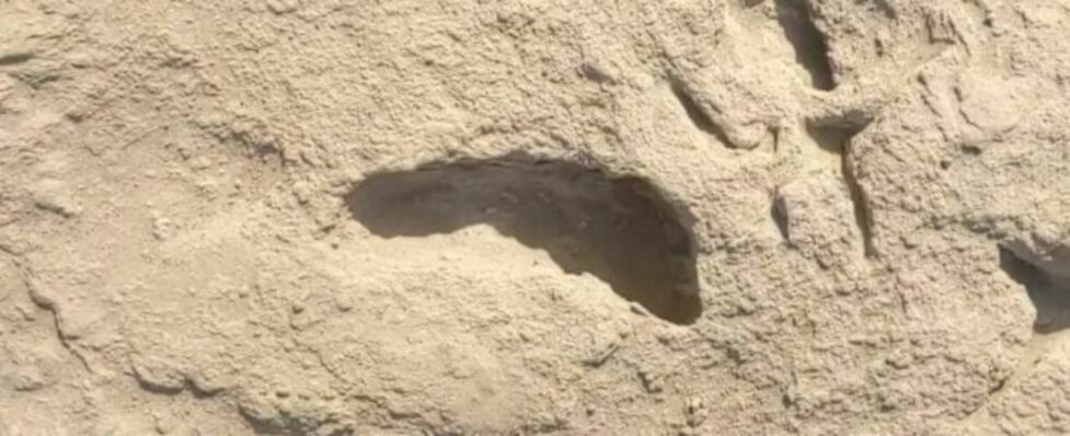 It was revealed in 2021 The mystery of footprints 15