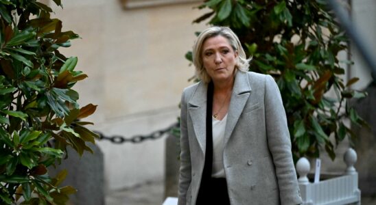 Marine Le Pen her Christmas gift and her bet for