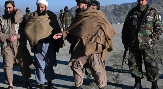 Nearly 50 dead in Afghanistan Pakistan claims to have targeted