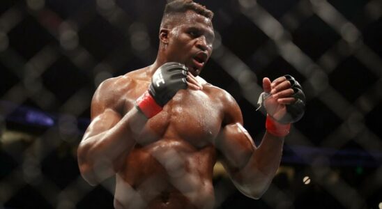 Ngannou Reug Reug du Plessis 2024 a good year for