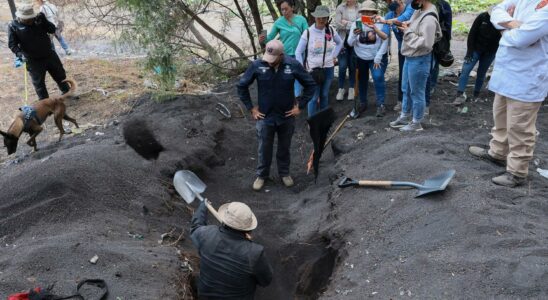 Over 30 bodies found in southern Mexico