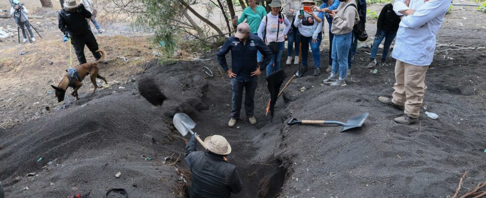 Over 30 bodies found in southern Mexico