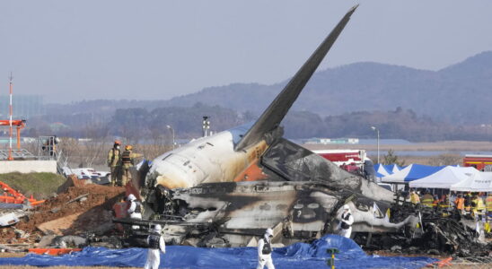 Plane crash in South Korea birds to blame The terrible