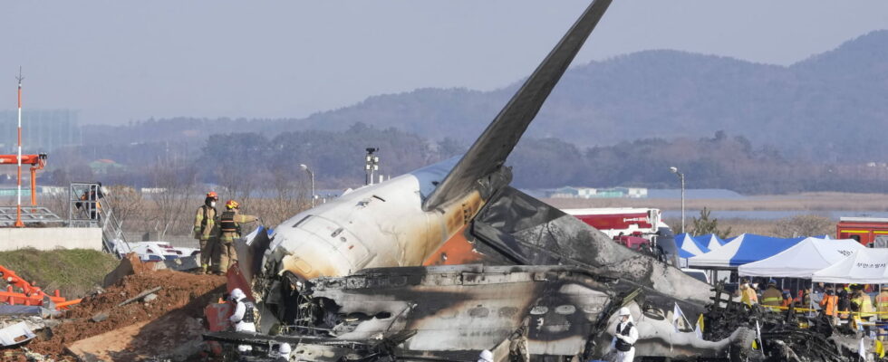 Plane crash in South Korea birds to blame The terrible