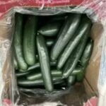 Salmonella outbreak in cucumber 68 people fell ill 18 people