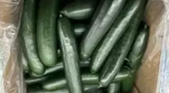 Salmonella outbreak in cucumber 68 people fell ill 18 people