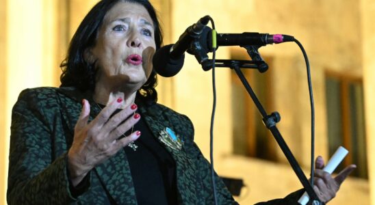 Salome Zourabichvili criticizes the slow reaction of the European Union