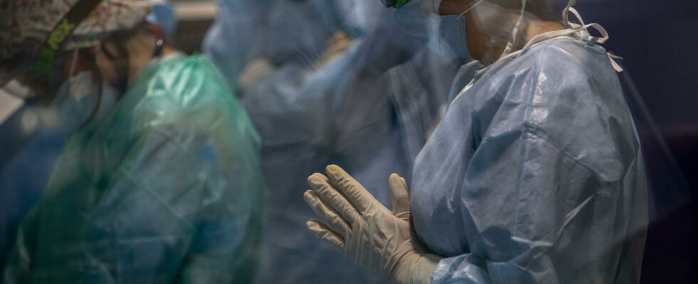 Spain has been world champion in organ donation for more