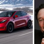 Sweden still loves Tesla