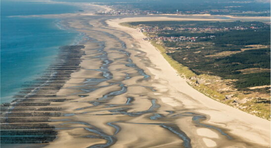 The Bay of Somme seen from the sky