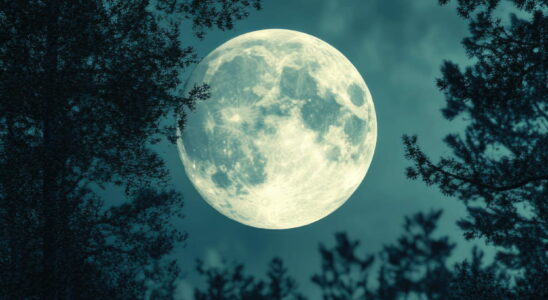 The December Full Moon illuminates the end of the year