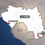 The Guinean government must speak out on the true number