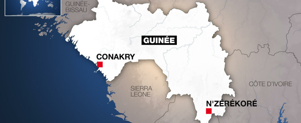 The Guinean government must speak out on the true number