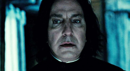 The Harry Potter series may have found its Severus Snape