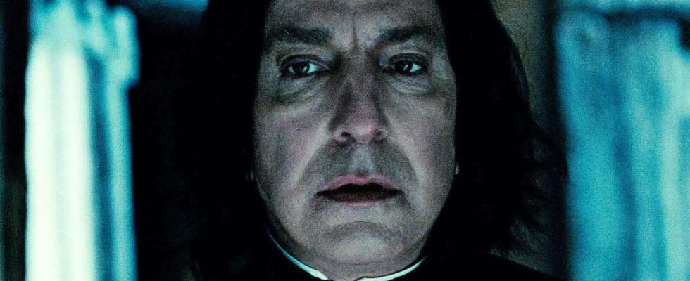 The Harry Potter series may have found its Severus Snape