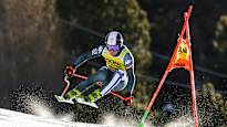 The alpine skiers roared off the life threatening Olympic slope