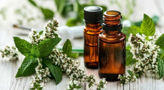 The best essential oil after a hearty meal it accelerates