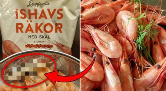 The customers disgusting discovery in Garants shrimp bag Disgusting