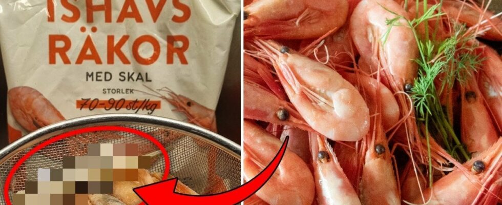 The customers disgusting discovery in Garants shrimp bag Disgusting