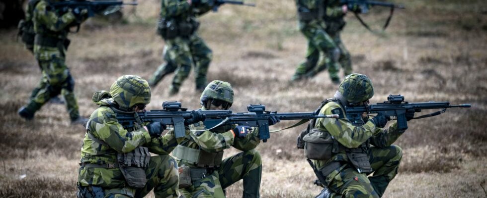 The defense urgently buys automatic carbines from the USA