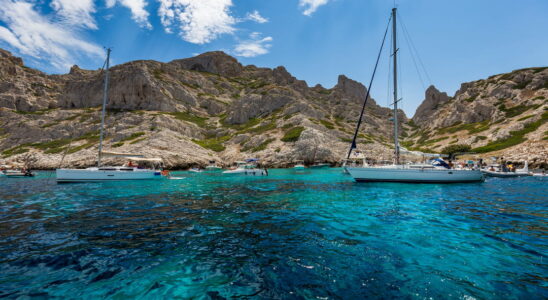 The island of Riou in the Calanques national park