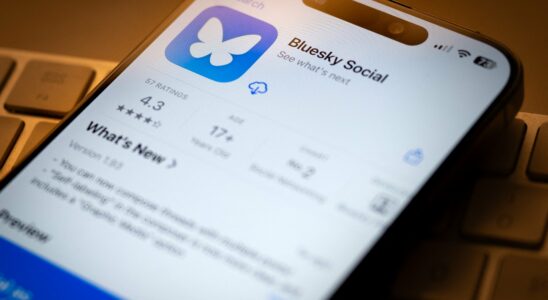 The little secrets of Bluesky the social network that seduces