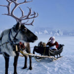 The particularities of Christmas in Norway and the Scandinavian countries