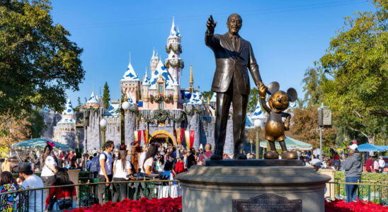 These die hard Disneyland fans ready to defy the law for