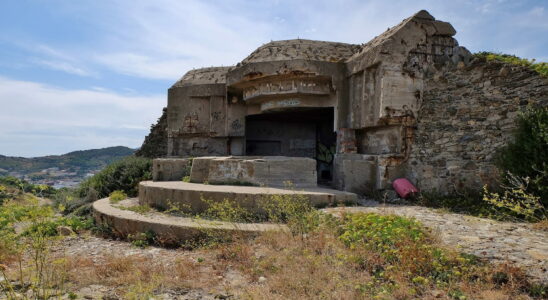 This famous billionaire is having a huge bunker built under