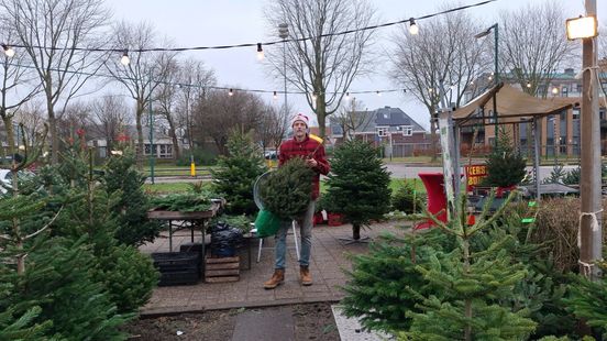 This is how you keep the Christmas tree green until