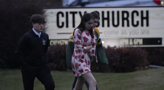 Three dead including minor suspect in school shooting